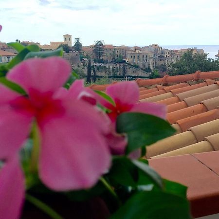 Villa Il Barone Tropea Exterior photo